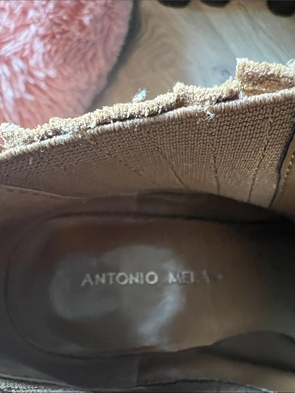 ANTONIO MELANI Brown Women's Ankle Bootie